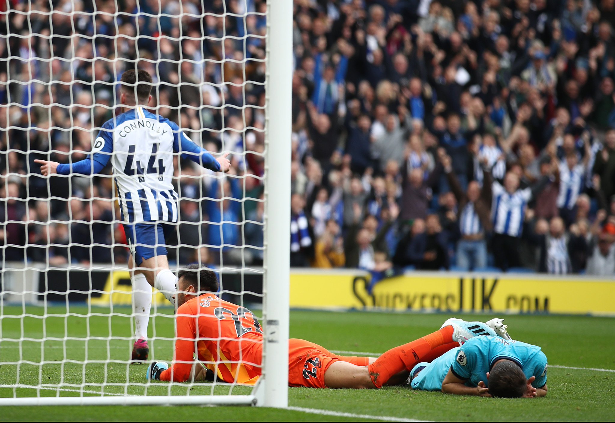 阵黄蜂的比 阵黄蜂的比